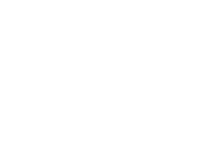 writers guild